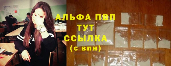 дурь Бородино