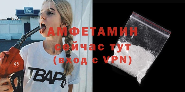 дурь Бородино