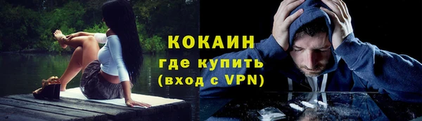 дурь Бородино