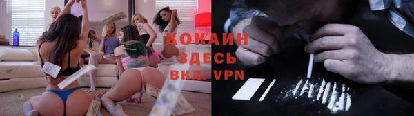 дурь Бородино