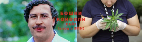 дурь Бородино