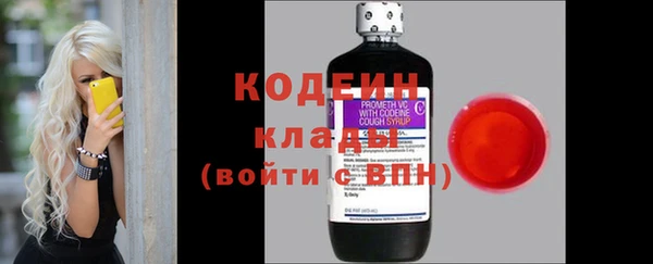 дурь Бородино