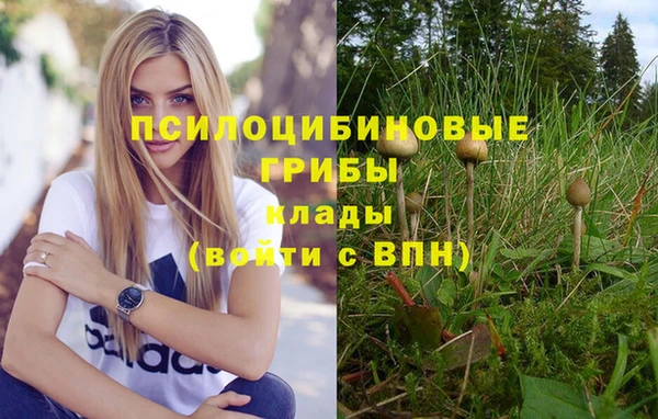каннабис Бронницы