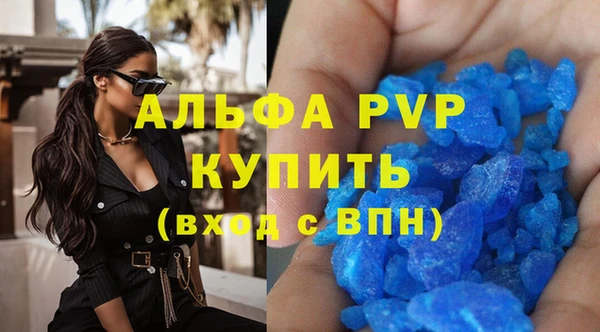 дурь Бородино